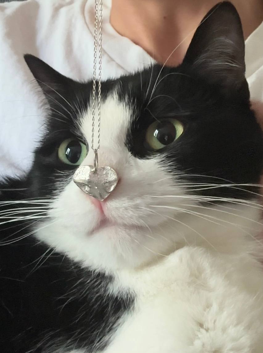 Pet Nose Pendant