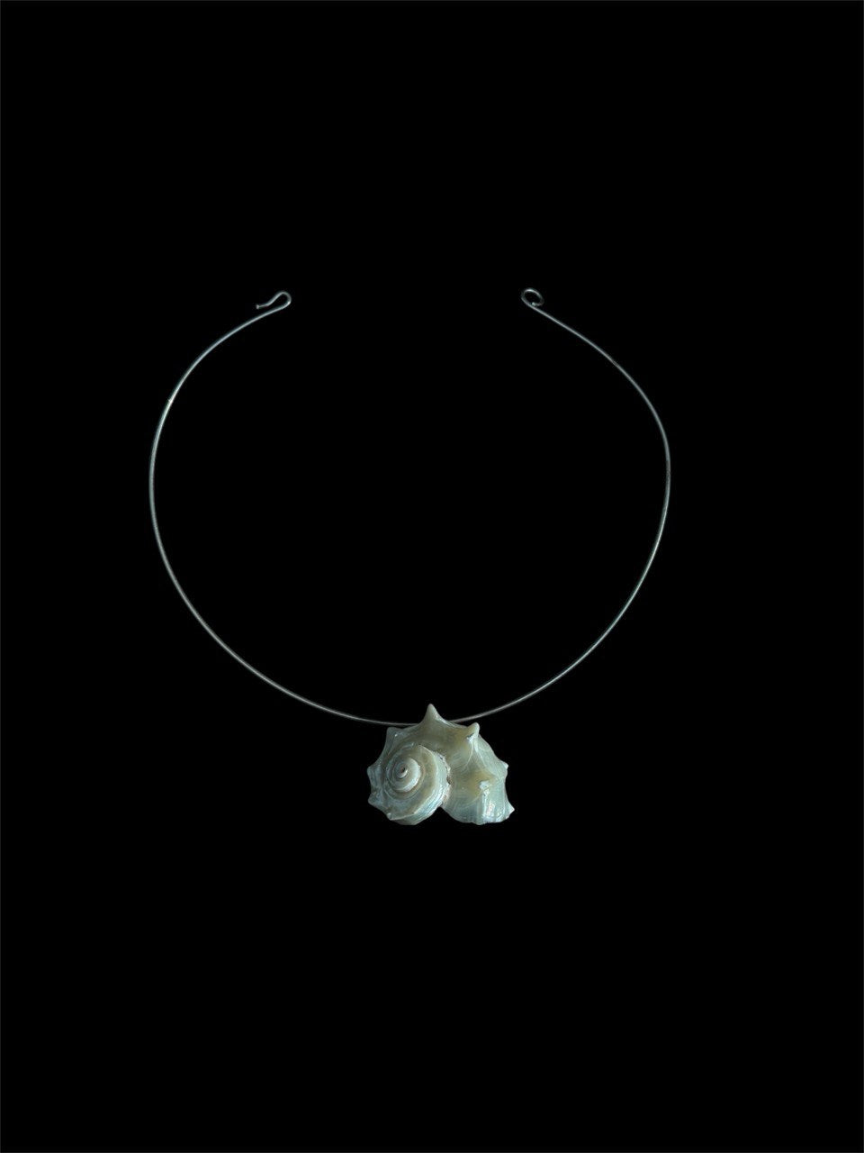 Seashell Necklace