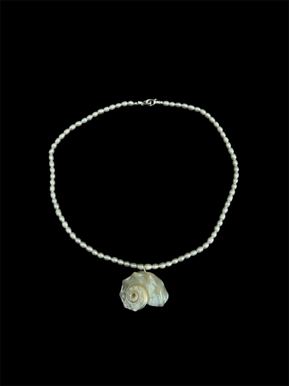 Seashell Necklace